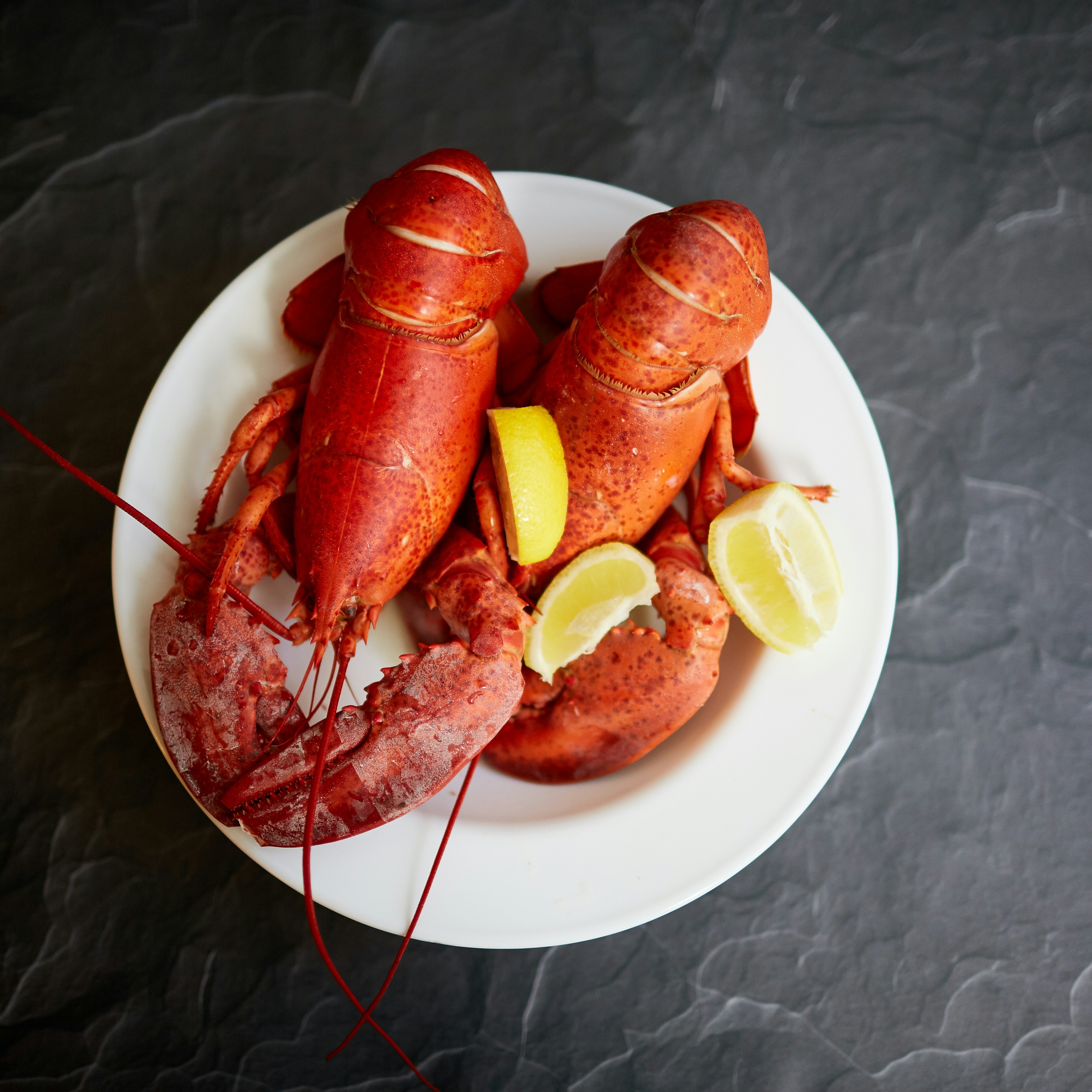 Lobster brik