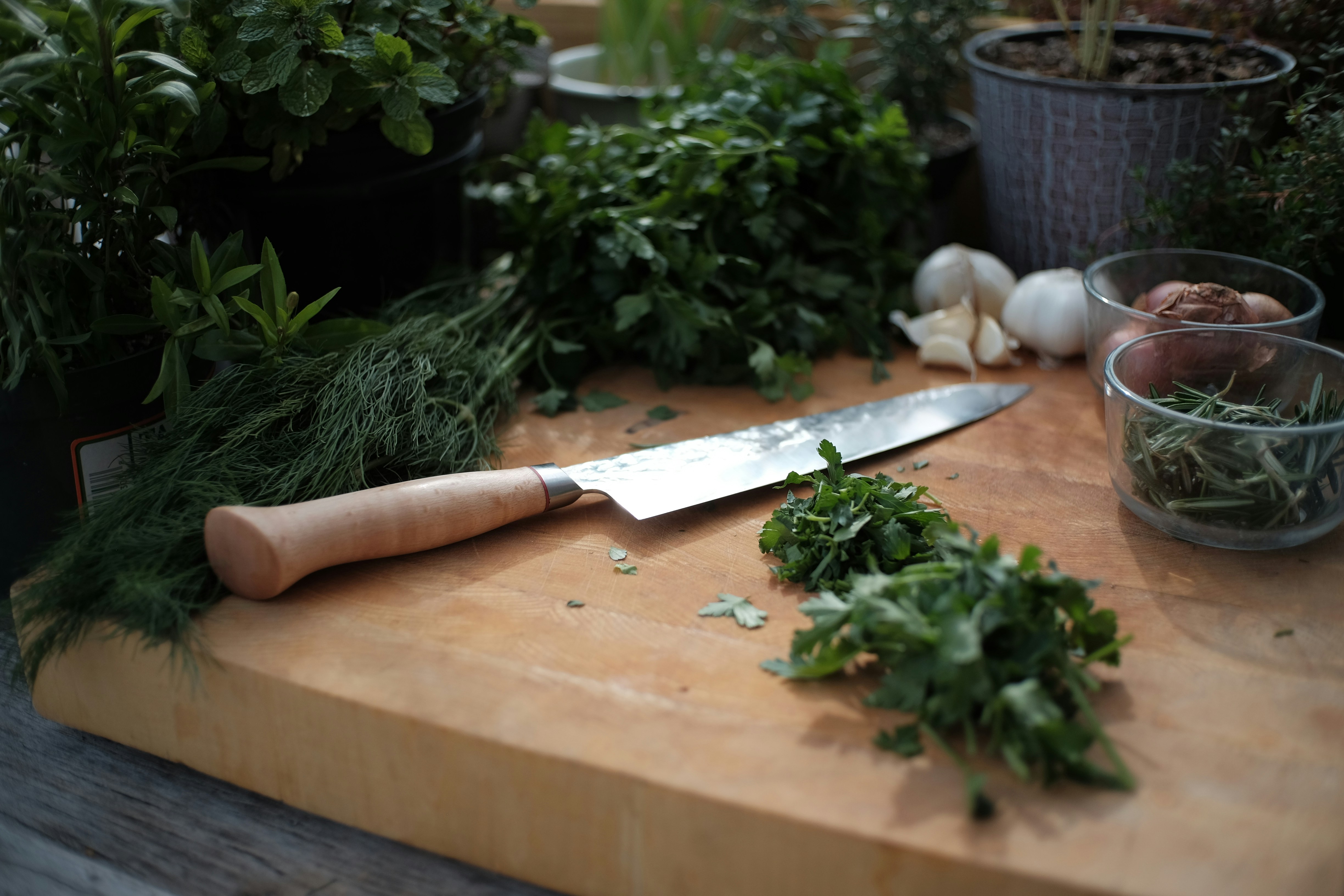 The kitchen garden